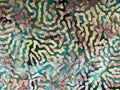 Batik Cotton Fabric