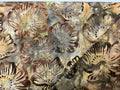 Batik Cotton Fabric