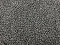 Cotton fabric by the yard